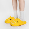 Slippers Wholesale Suppliers